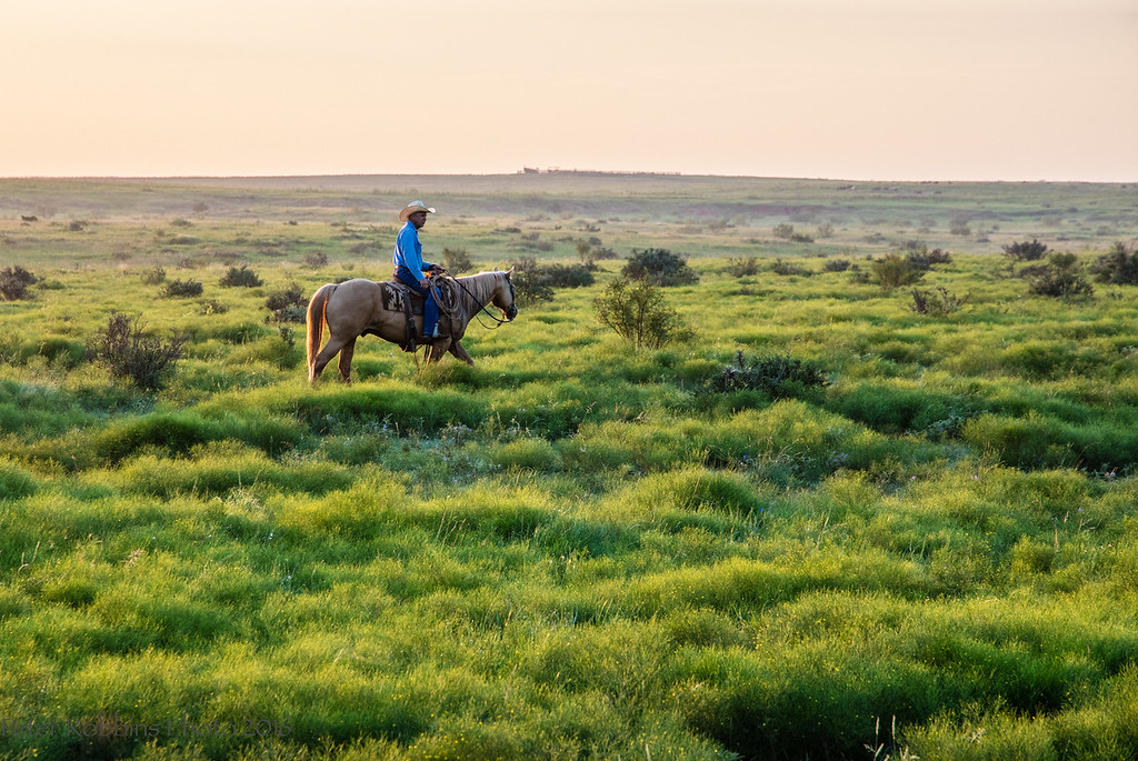 Environmental Stewardship Region IV • Burnett Ranches, LLC, 6666 Ranch