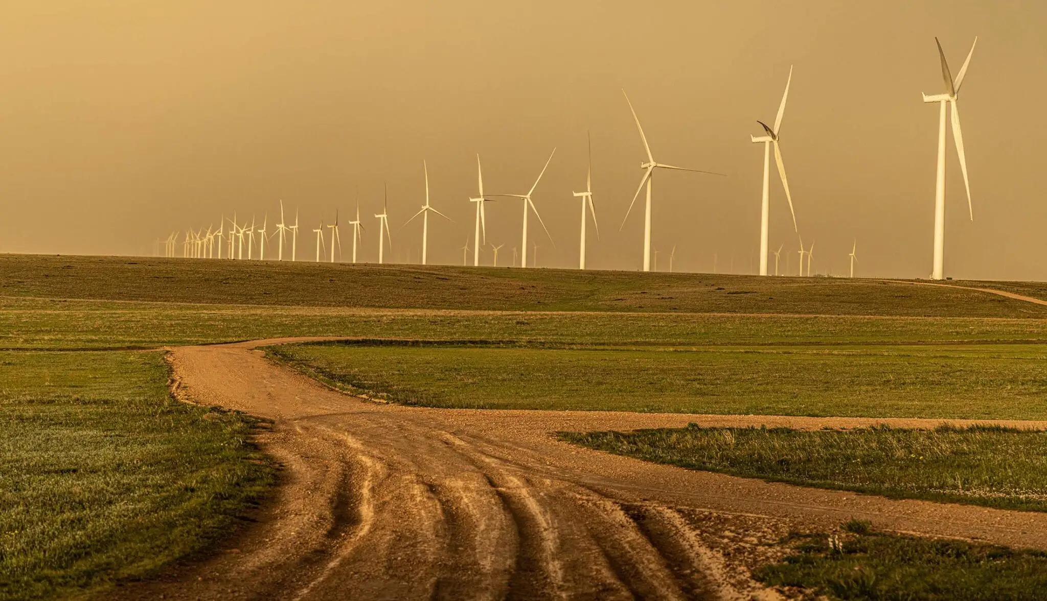 home-staging_01 Wind turbines stretching across the Texas plains alongside a winding ranch road at sunset.