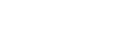 American Quarter Horse Association