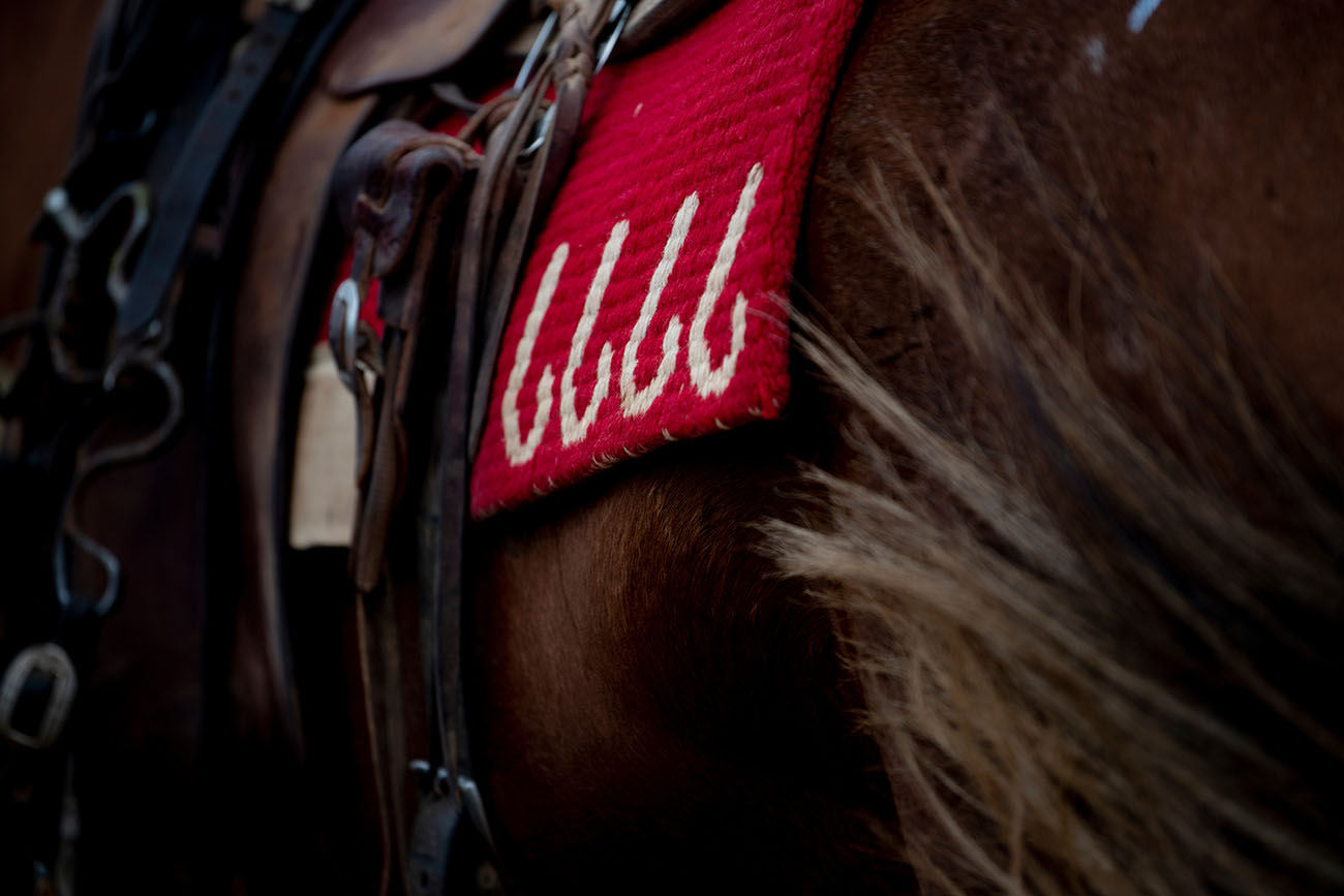 Four Sixes Ranch Hosts Unique Ranching Heritage Challenge