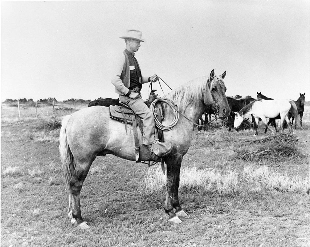 Four Sixes Quarter Horses 6666 Ranch