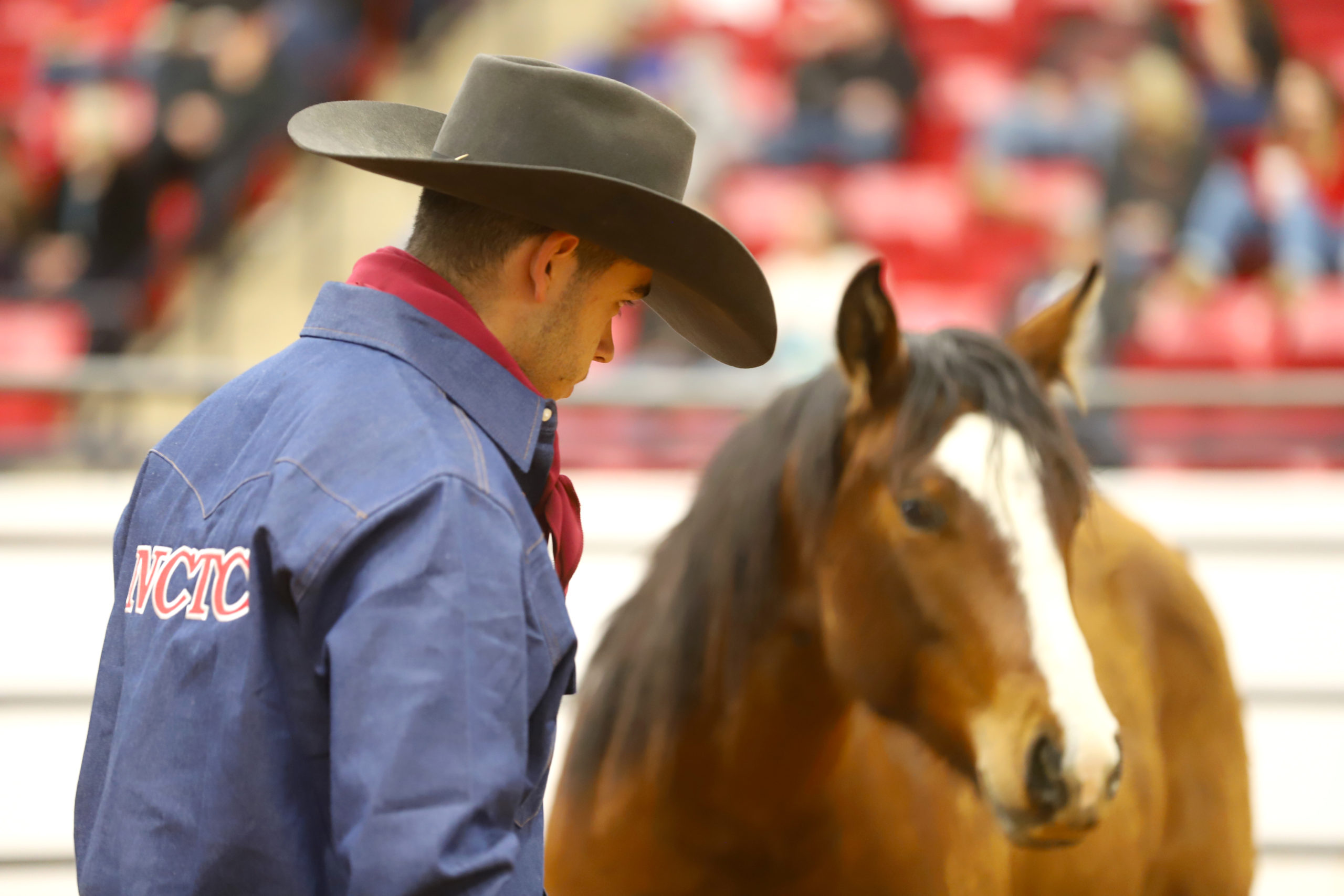 Texas College Takes Top Honors at Road to the Horse Collegiate Colt Starting Challenge