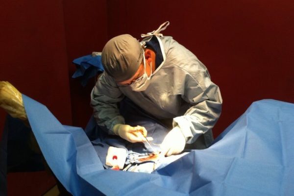 veterinary-services
