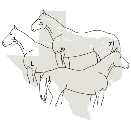 Four Sixes Brands - 6666 Ranch