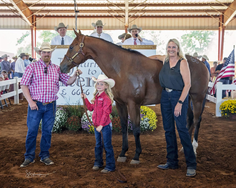 Return to the Remuda sets record for highest ranch gelding sold at