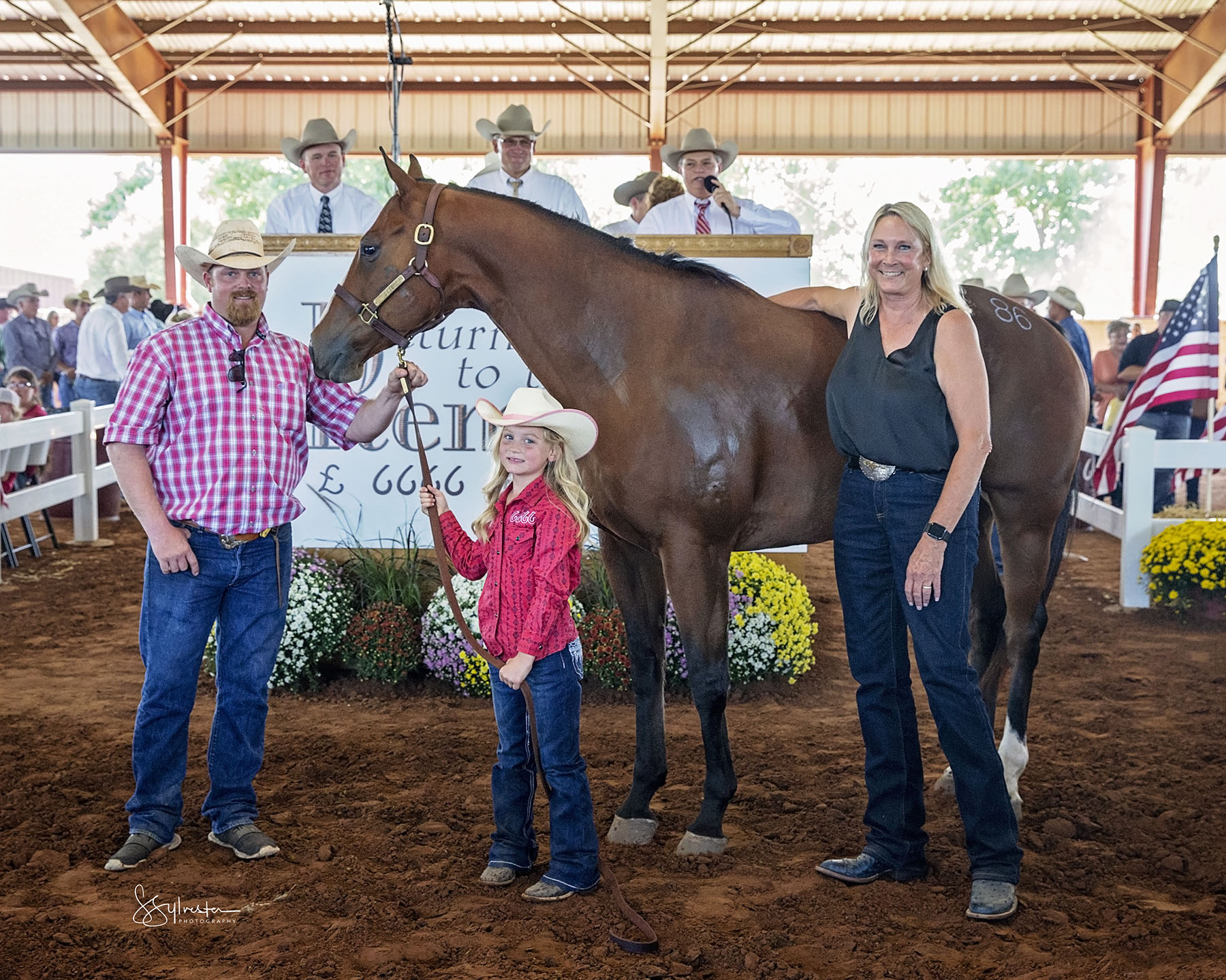 Return to the Remuda sets record for highest ranch gelding sold at auction  - 6666 Ranch