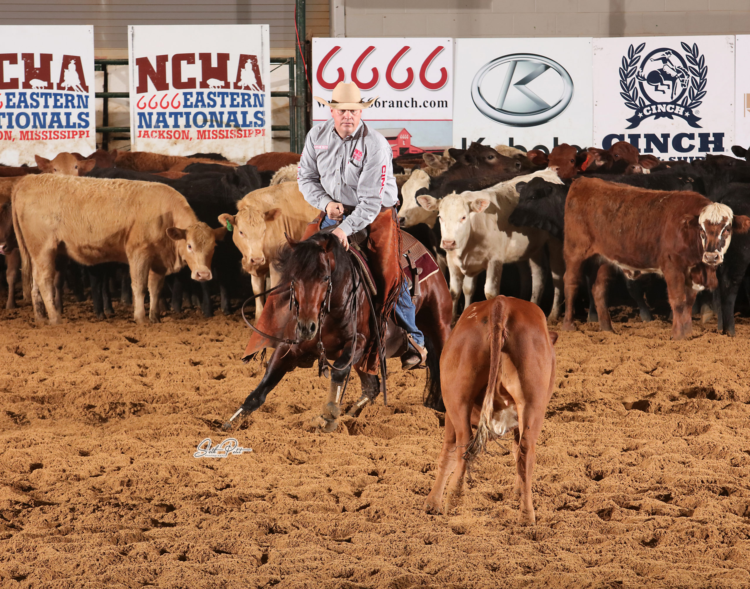 home-staging_01 Bamacat and his rider during a cutting horse competition at NCHA Eastern Nationals.