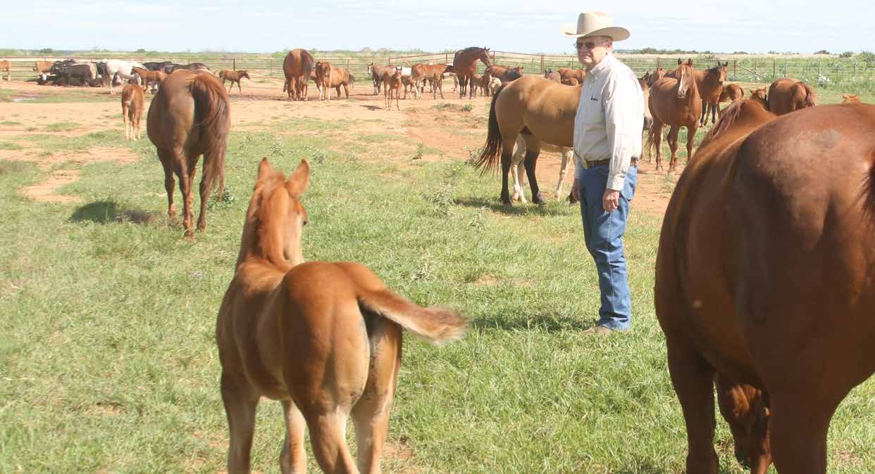 Ranch Work