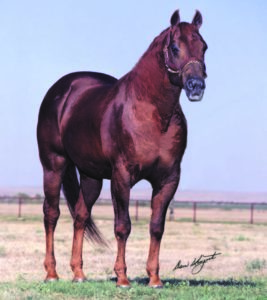 Buster Welch - AQHA