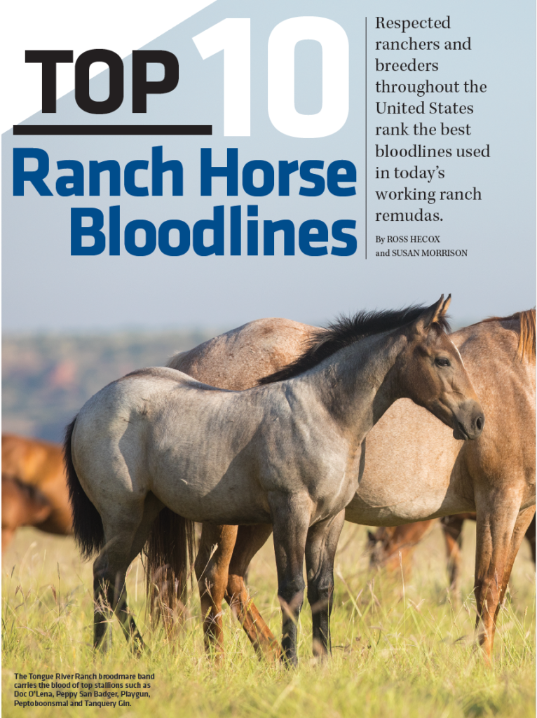 Top 10 Ranch Horse Bloodlines 6666 Ranch
