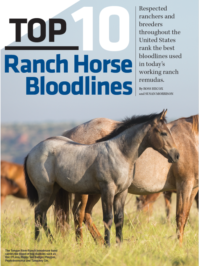 Top 10 Ranch Horse Bloodlines 6666 Ranch