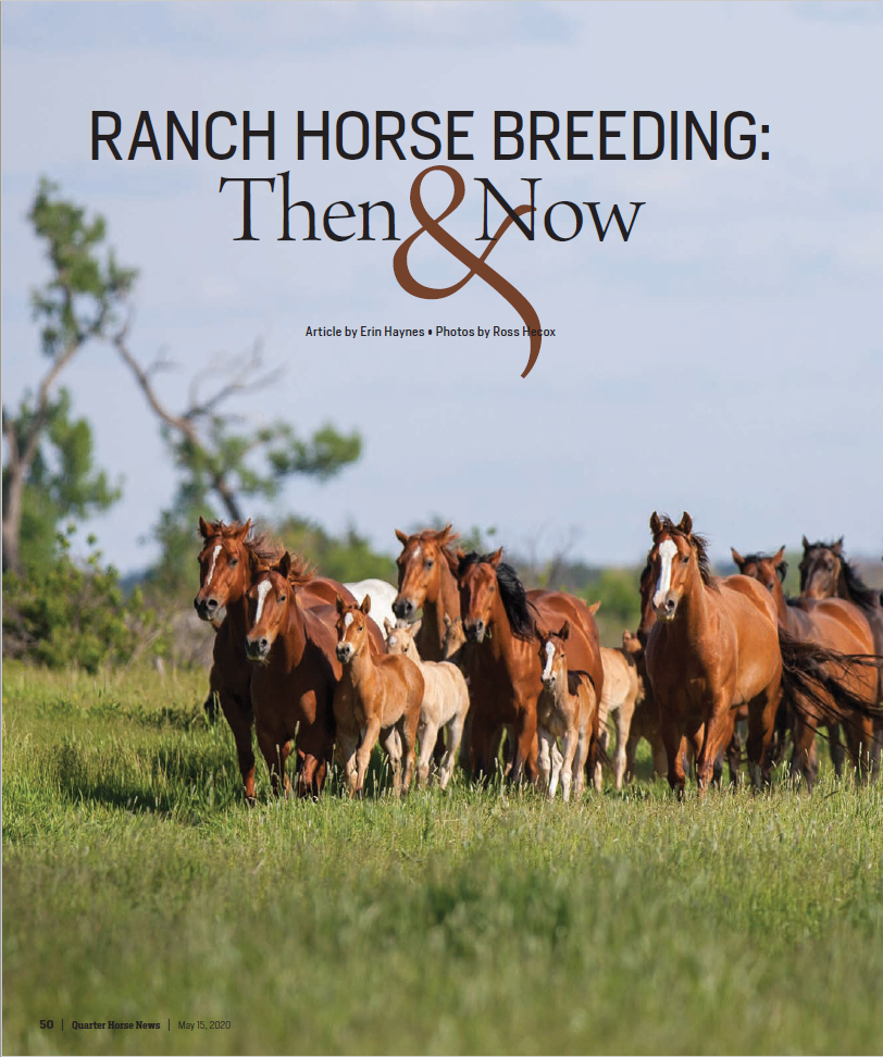 Ranch Horse Breeder: Then & Now
