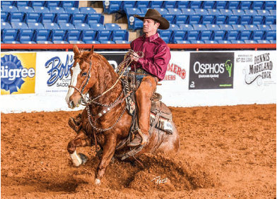 NRCHA Celebration of Champions