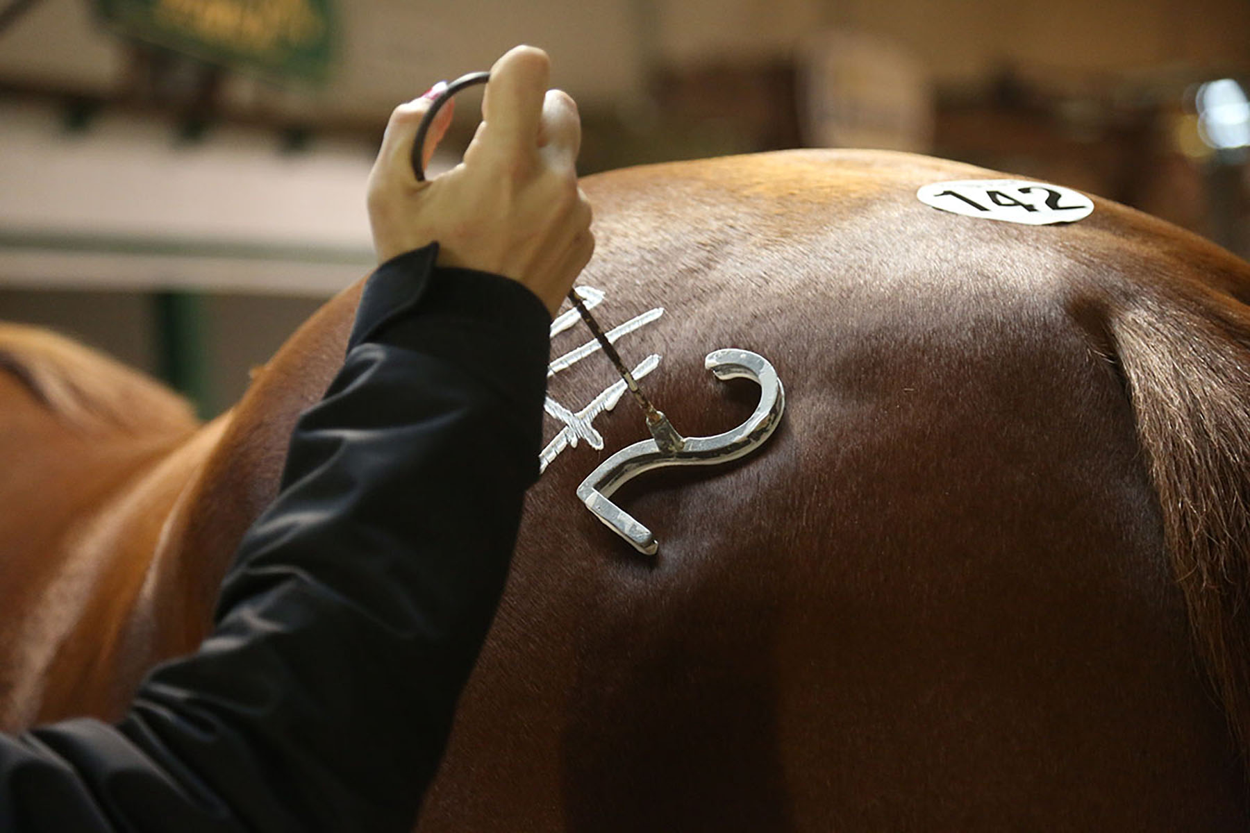 2021 Heritage Place Fall Mixed Sale 6666 Ranch