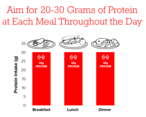 20-30 Grams of Protein