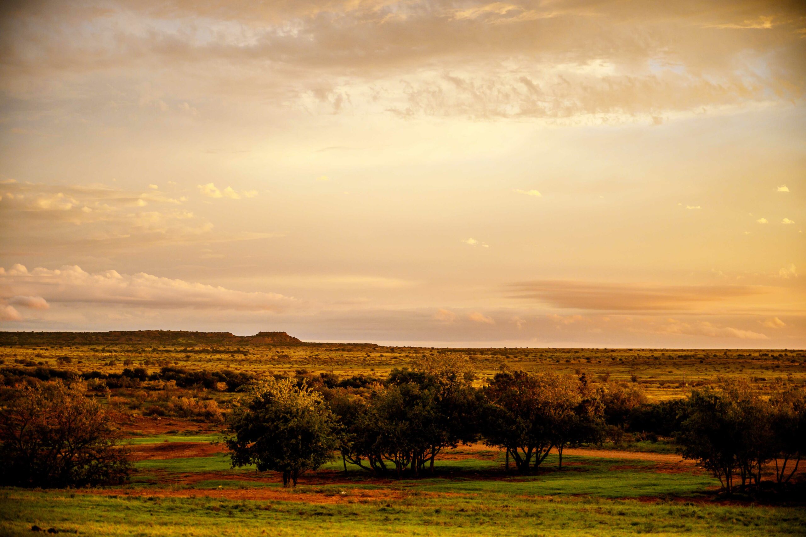 home-staging_01 A sweeping ranch landscape stretches beneath a golden sunset sky, with scattered trees, rolling grasslands, and distant mesas on the horizon.