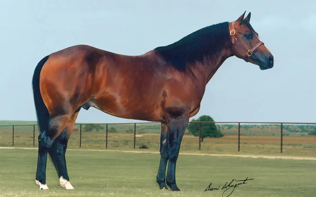 Four Sixes Ranch Mourns the Loss of Legendary Stallion Paddys Irish Whiskey