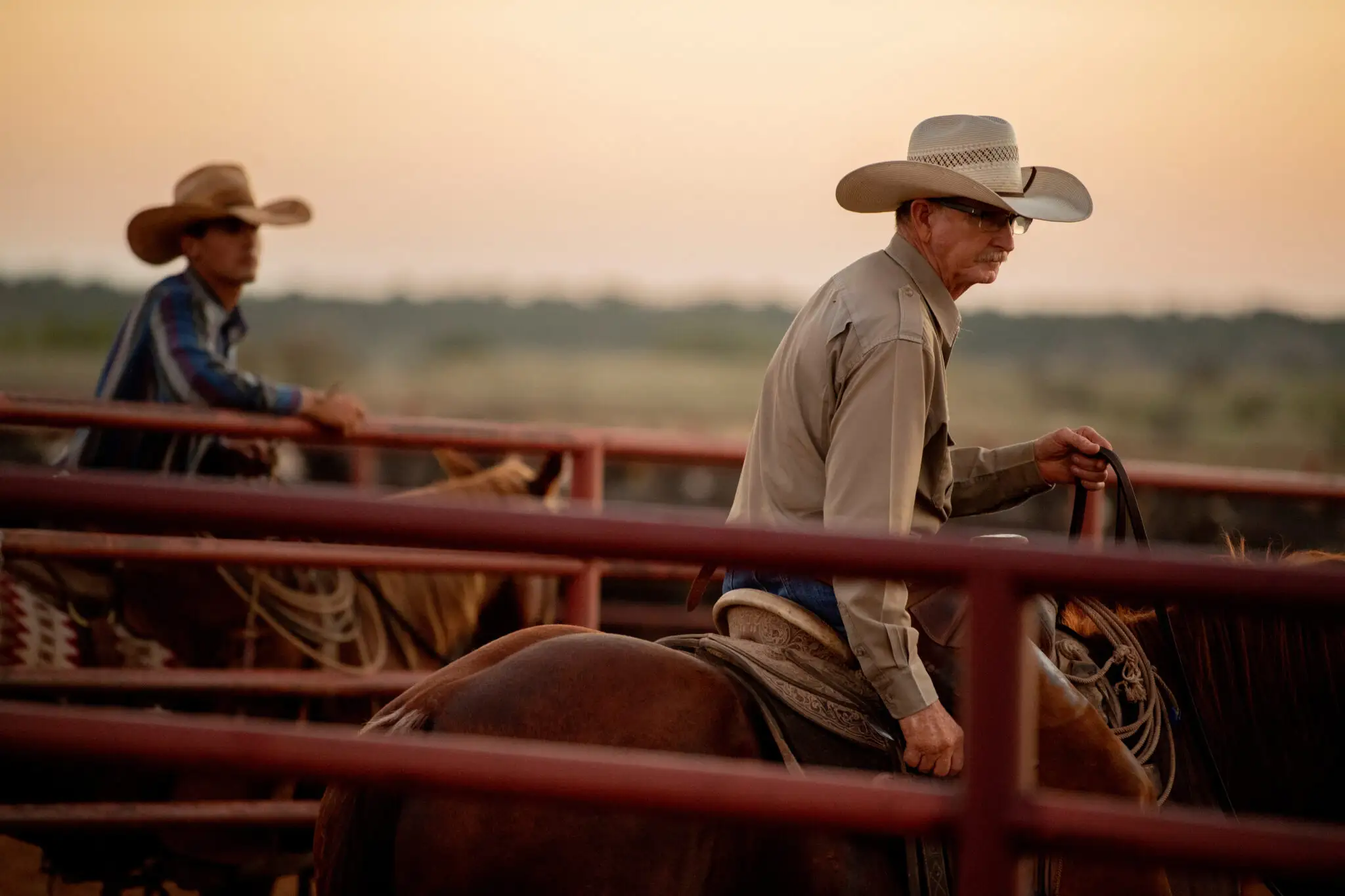Cowboys riding horse back moving a herd of cattle on the 6666 ranch.