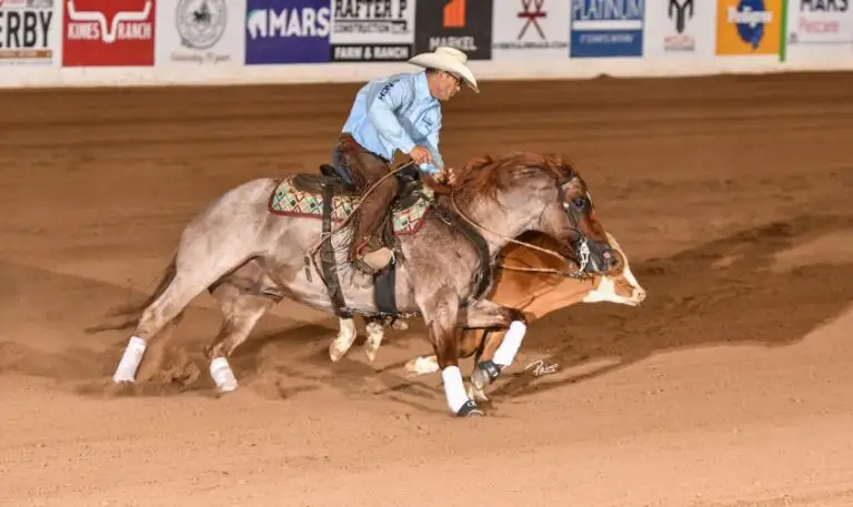 Boyd Rice riding Quahadi in a cutting competition.