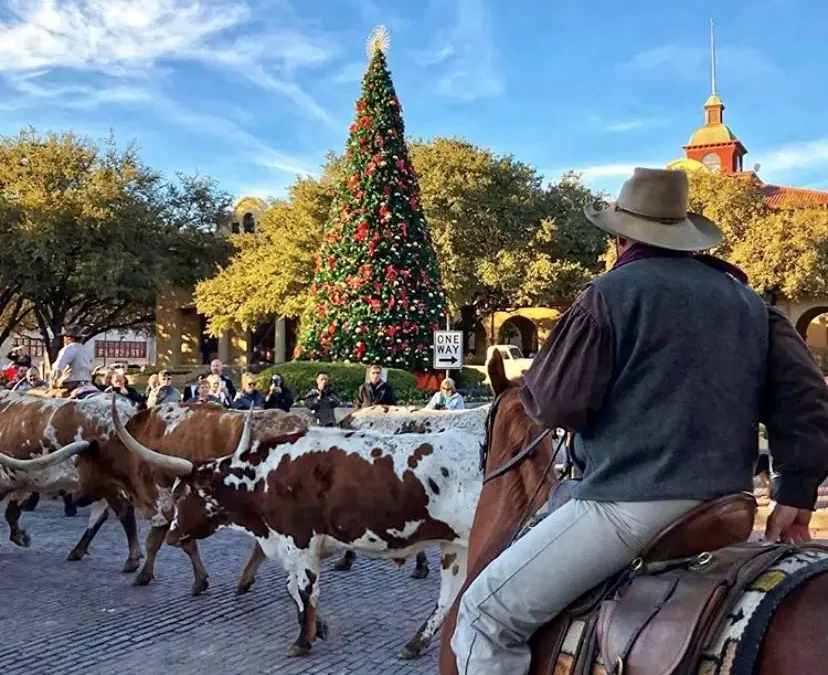 Legendary Fort Worth Female Trailblazer to be Honored With Special Cattle Drive — Remembering Anne Marion’s Unparalleled Achievements