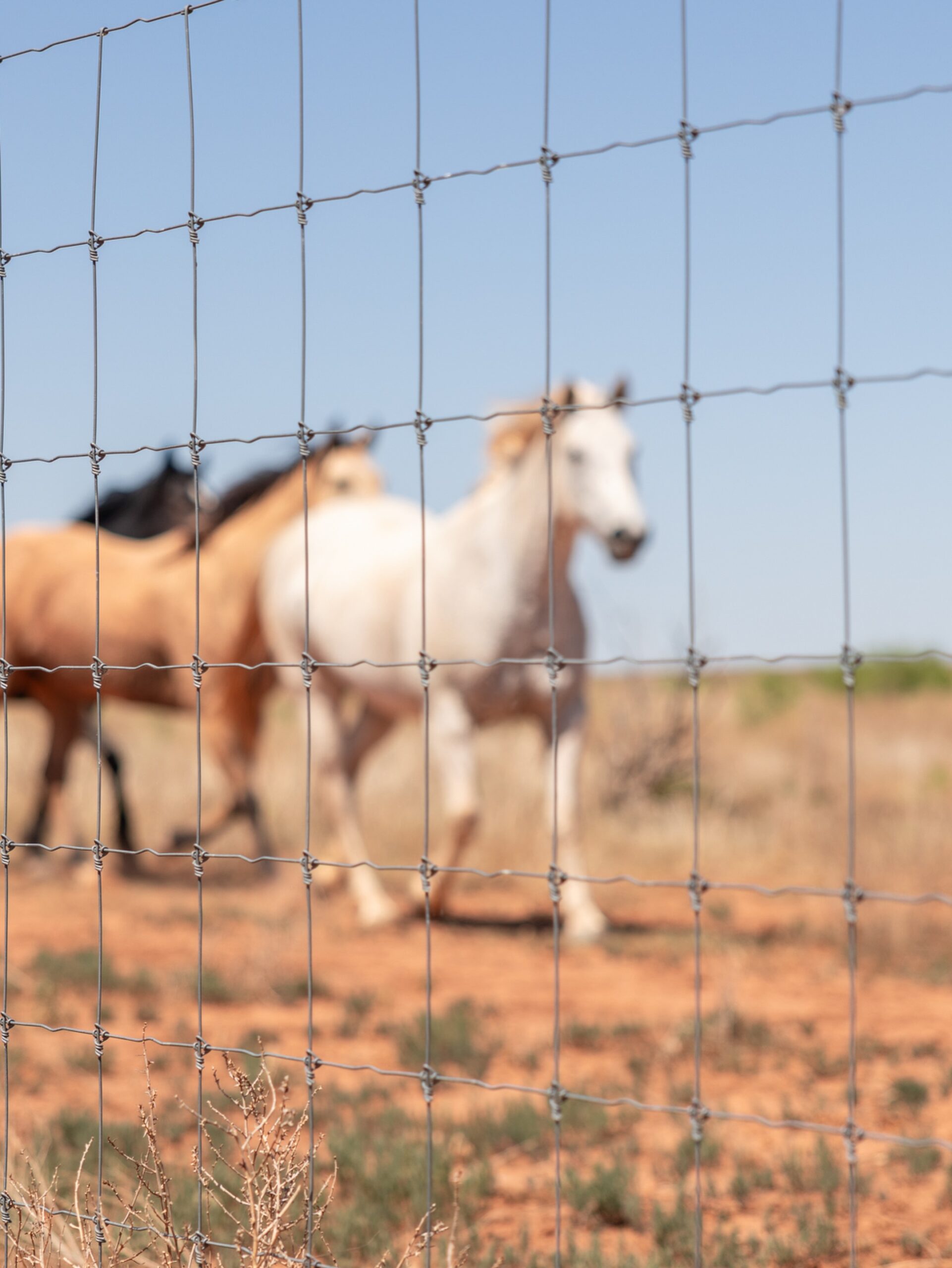 The historic Four Sixes Ranch announces a new partnership with STAY-TUFF FENCE