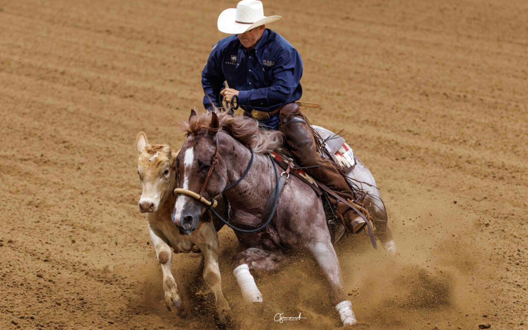 NRCHA Derby Champion Halreycious Rebel to Stand at Four Sixes Ranch
