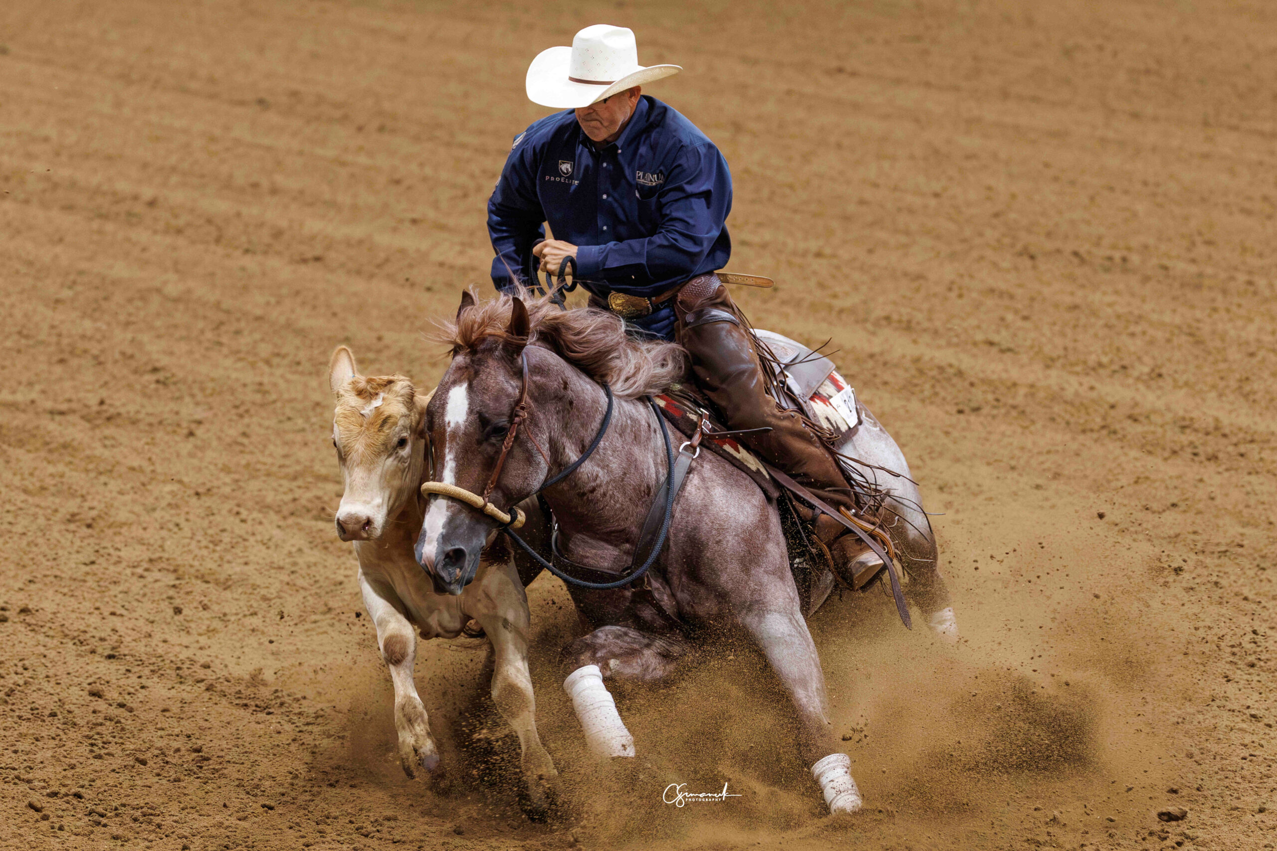 NRCHA Derby Champion Halreycious Rebel to Stand at Four Sixes Ranch