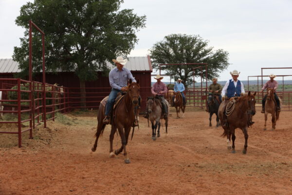 6666 Ranch Horsemanship Clinic