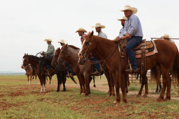 6666 Ranch Horsemanship Clinic