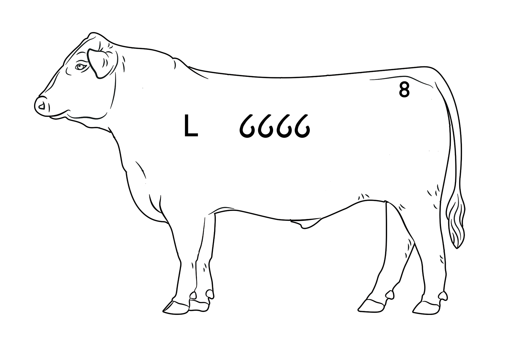 6666 Angus Brand Diagram
