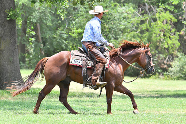 CoronelDelRancho3