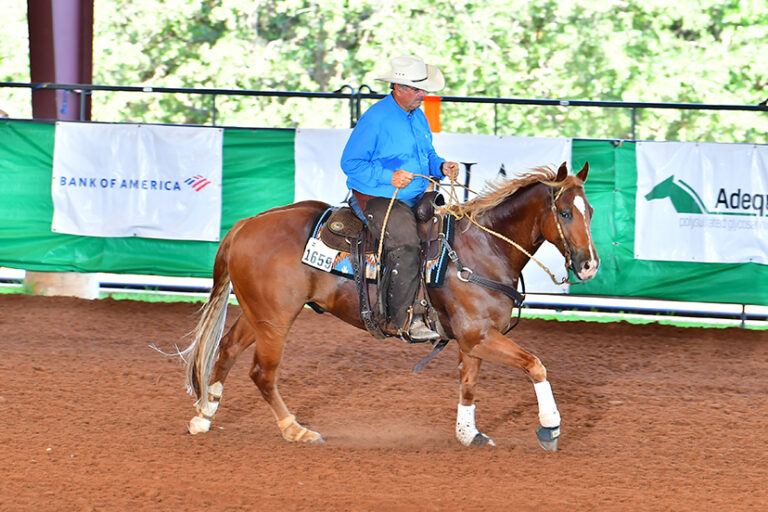 AQHA VRH World Top Ranching HeritageBred Horses 6666 Ranch
