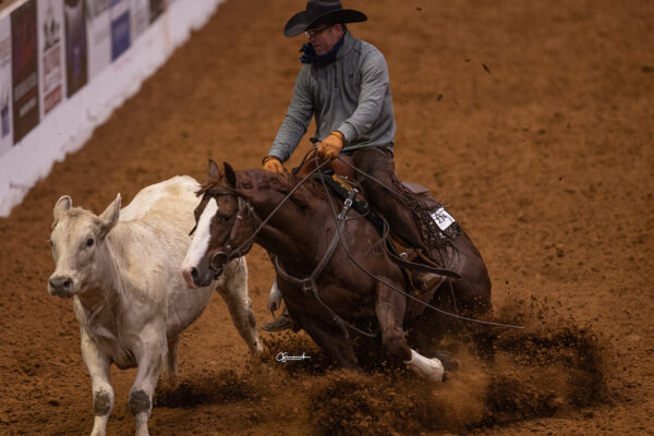 WRTCS-Saddling At Sunrise--6