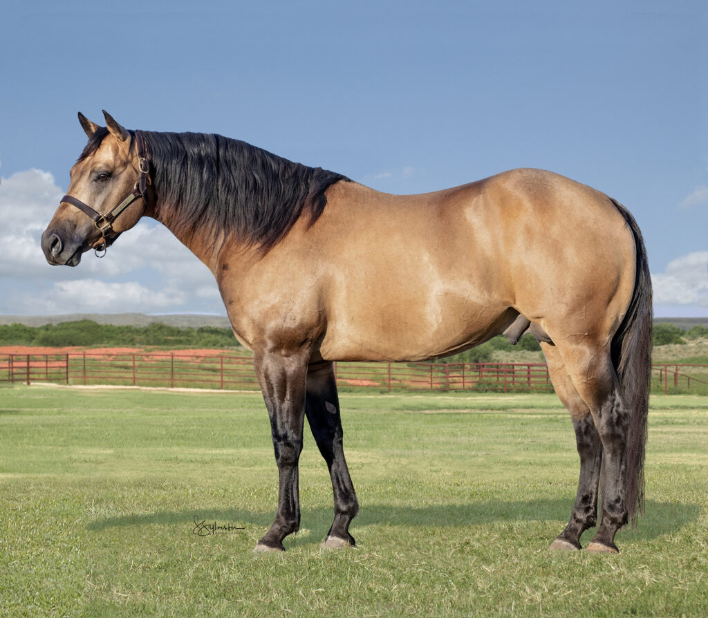 Doc Seas Whiskey 6666 Ranch